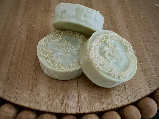 Cucumber Melon Luffa Bars